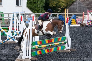 Class 6 - Fences not above 2'9